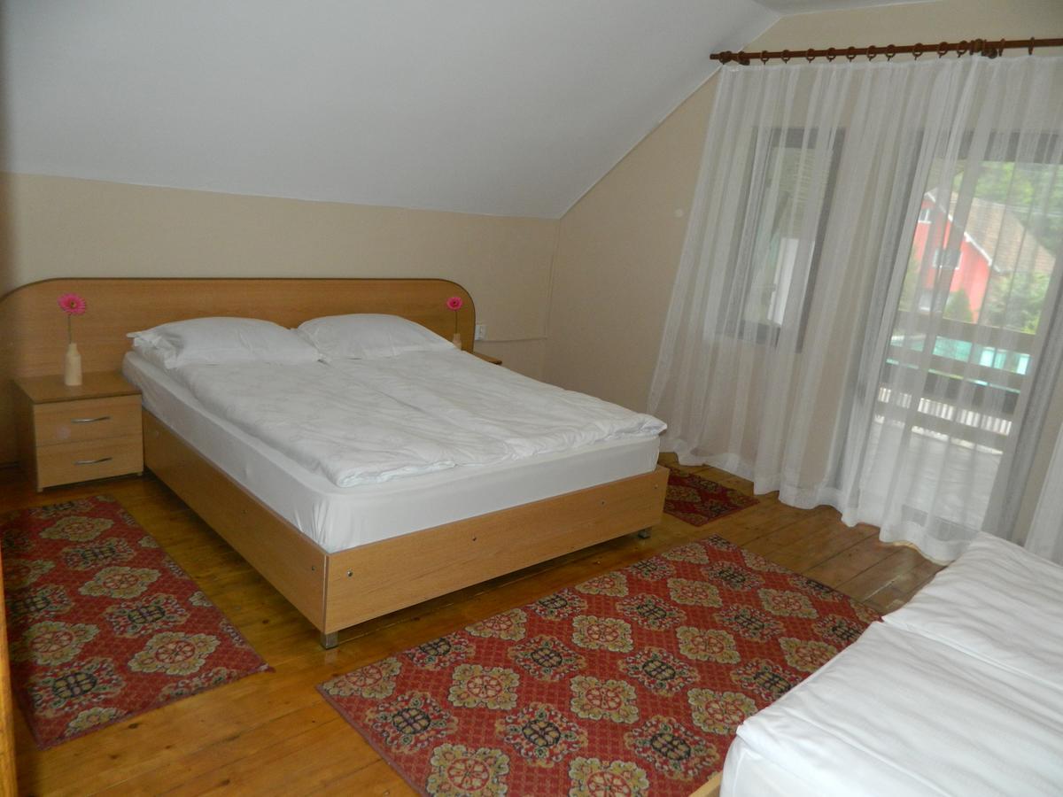 Cabana Florea Villa Rîu de Mori Eksteriør bilde